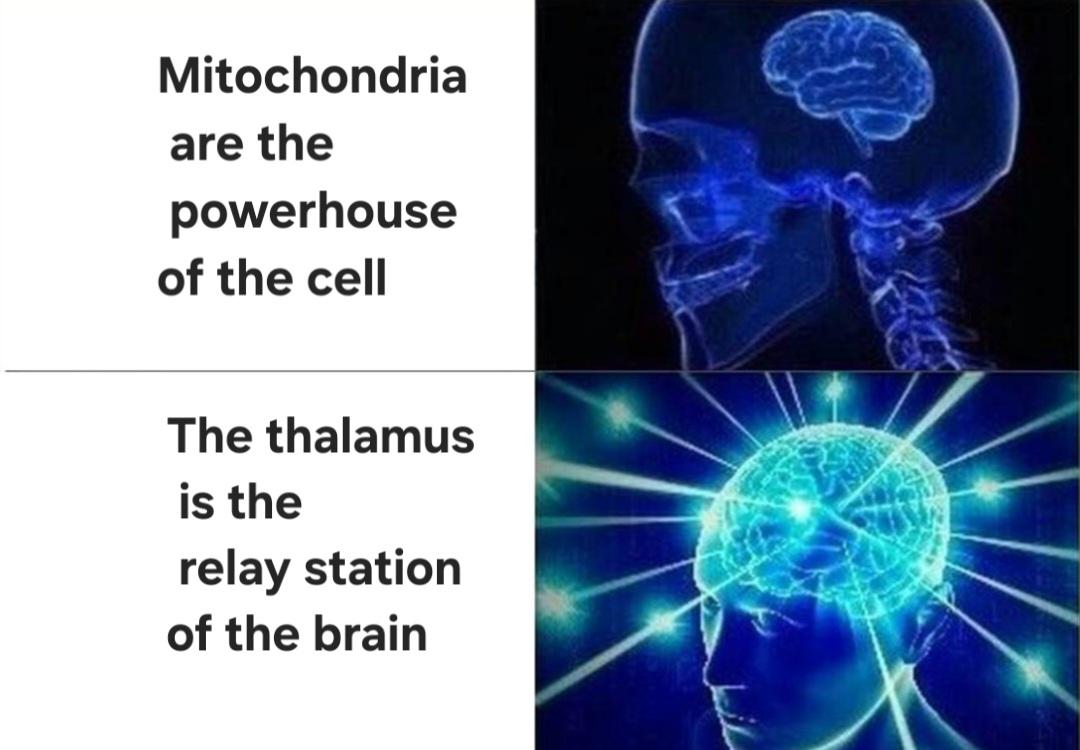 The Great Organelle Flex-Off