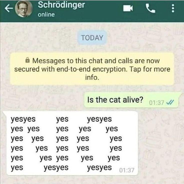 If Schrödinger Had WhatsApp