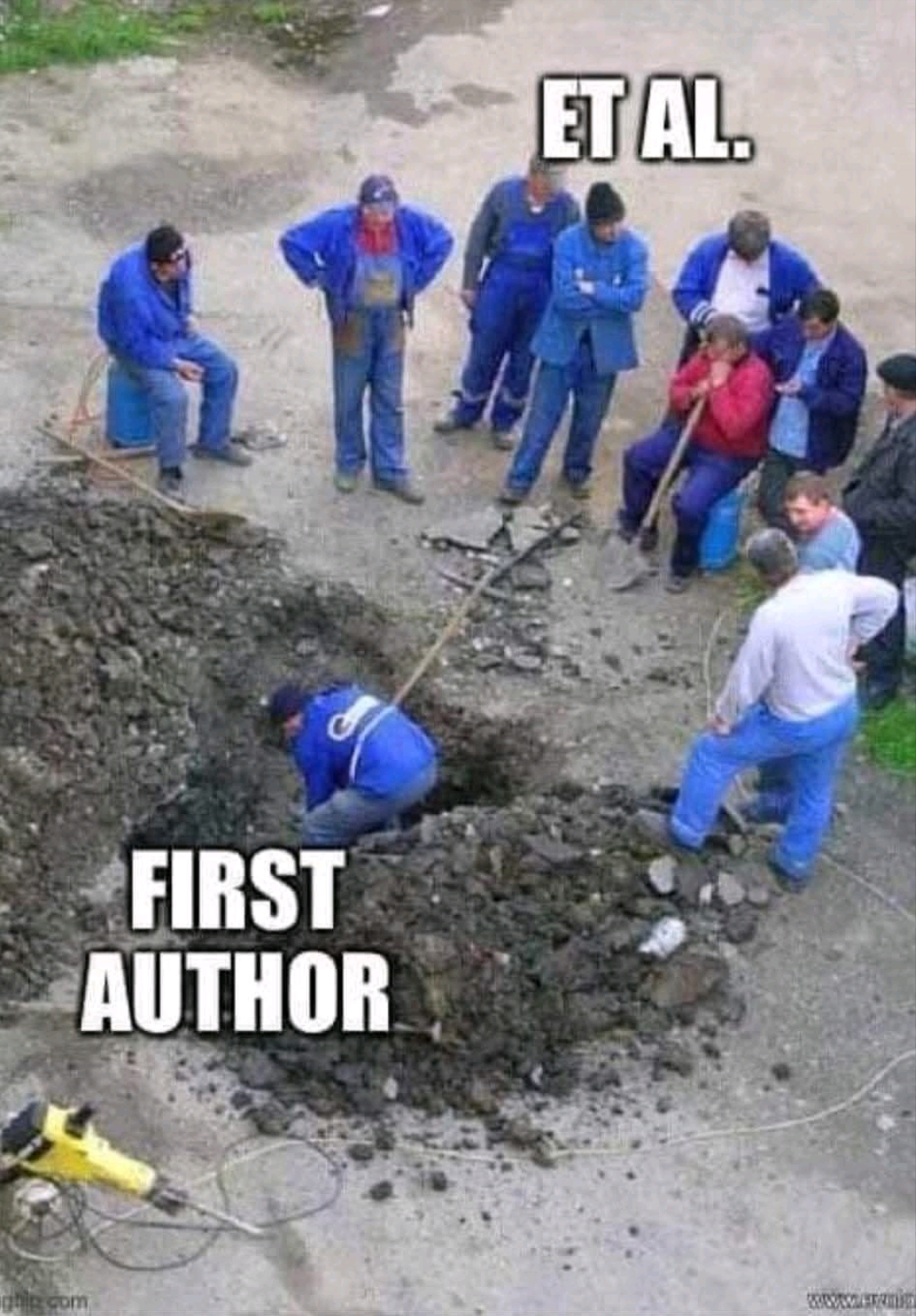 The Real Academic Pecking Order