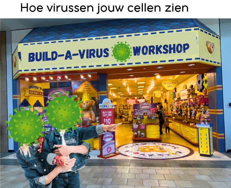 Build-A-Virus Workshop