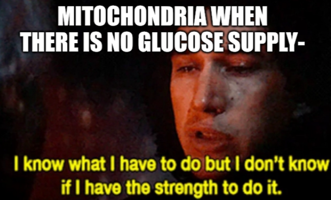 When You're The Powerhouse But There Is No Power Supply