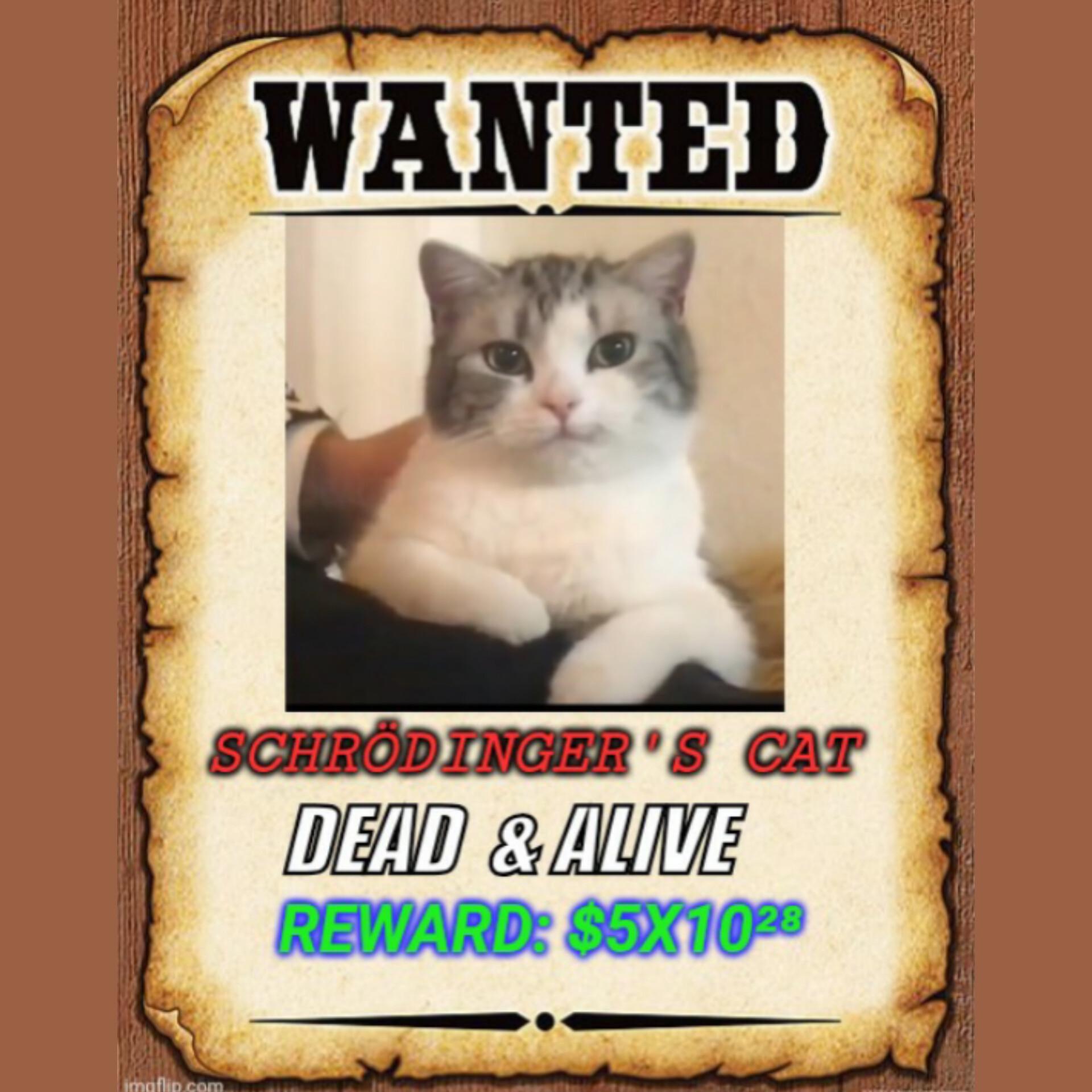 Laughs In Superposition