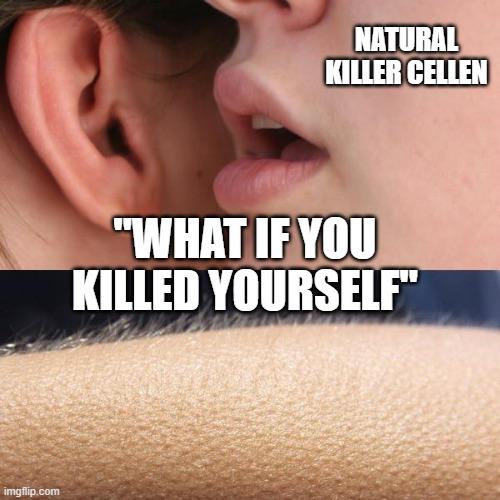 Natural Killer Cells: The Immune System's Psychological Warfare Unit