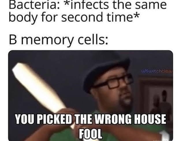 You Picked The Wrong Immune System, Fool