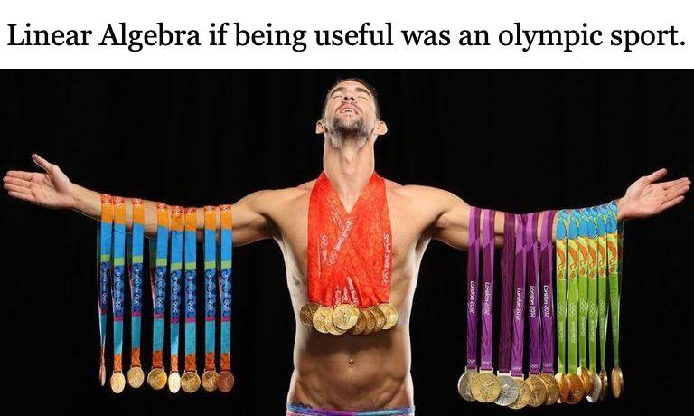 Linear Algebra: The Olympic Champion Of Mathematics