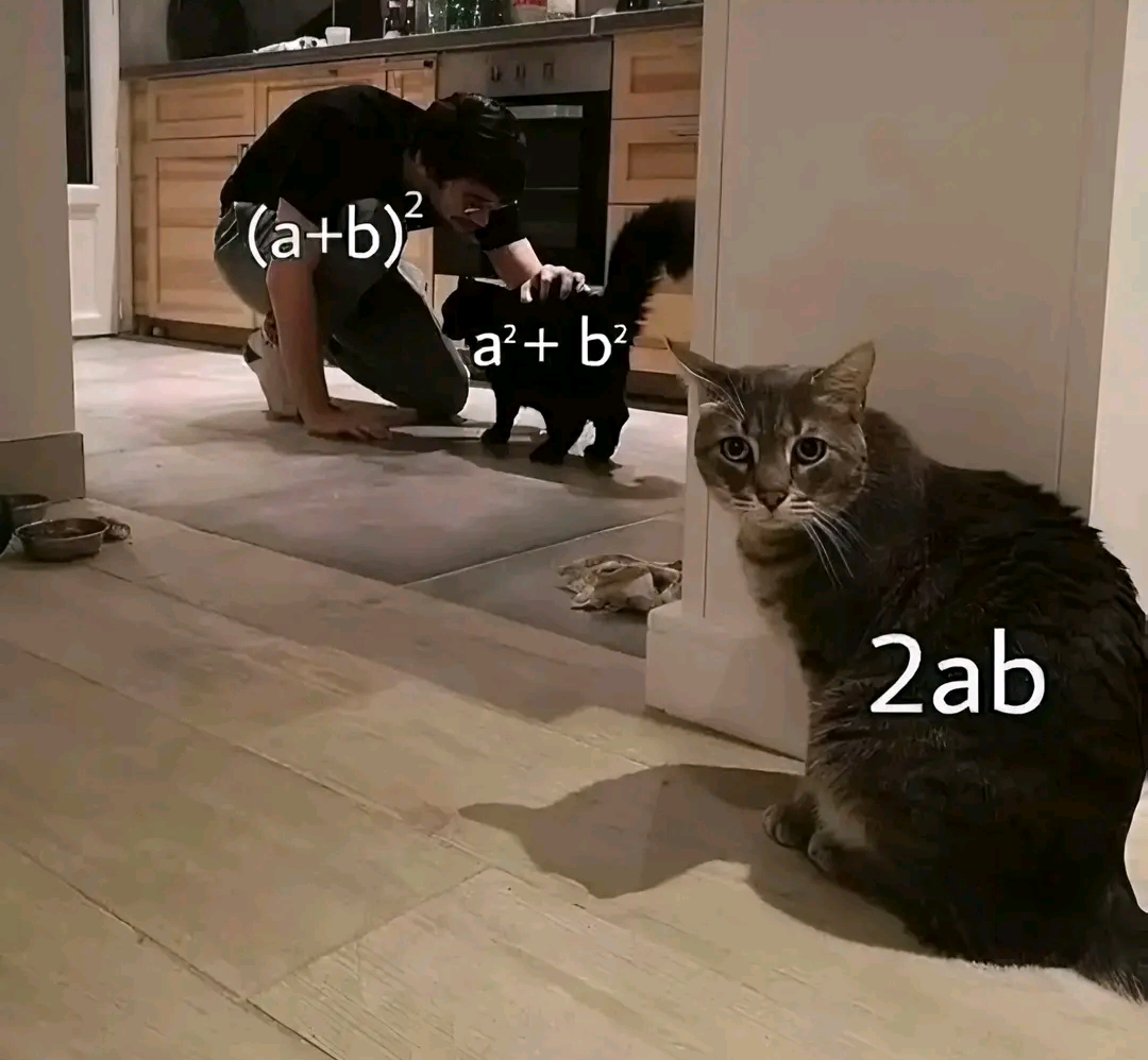 The Purr-fect Binomial Expansion