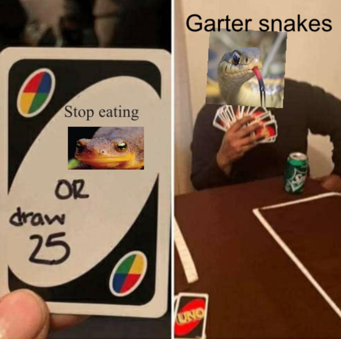 Why Eat Highly Toxic Prey And Get Into Evolutionary Arms Races? 💀