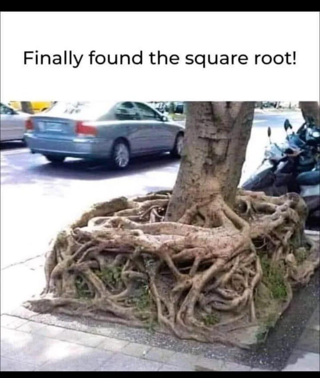 The Square Root Of All Knowledge