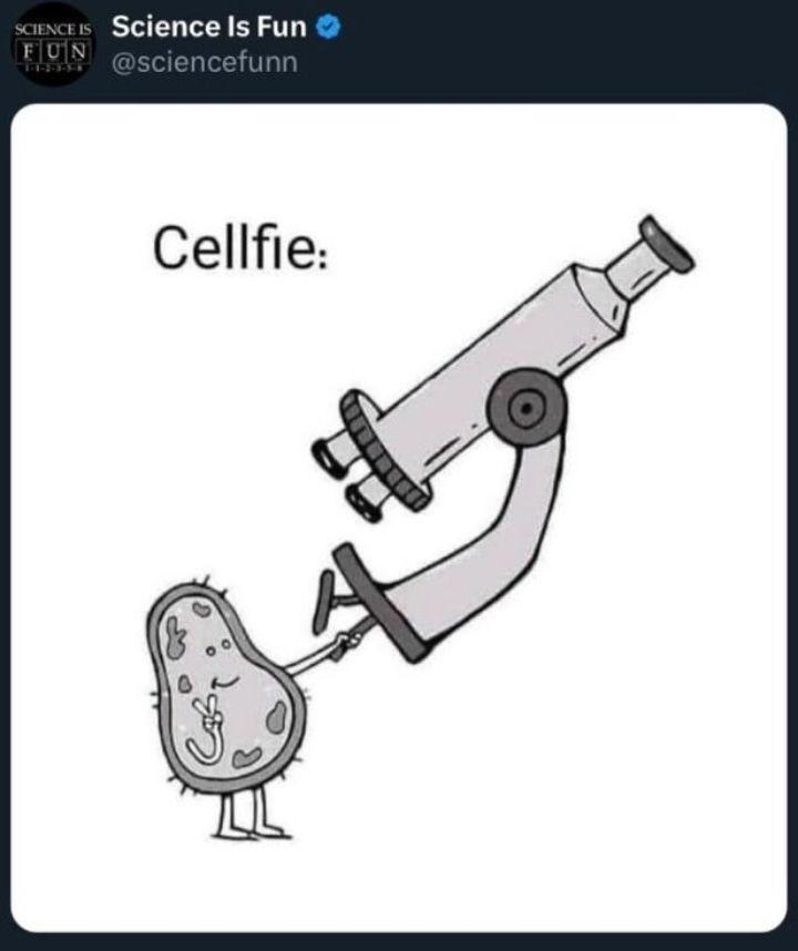 Cellfie