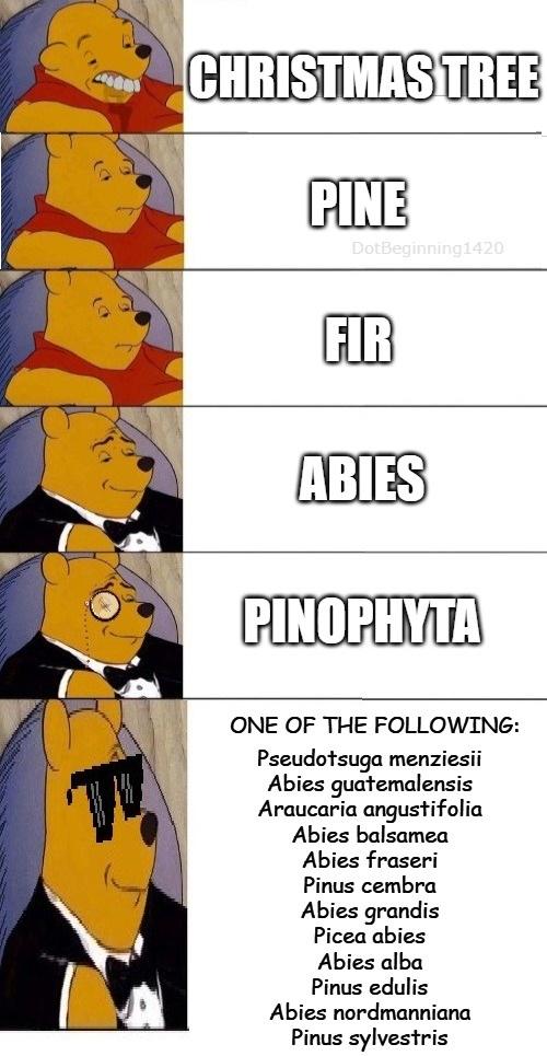 The Taxonomic Flex Of Christmas