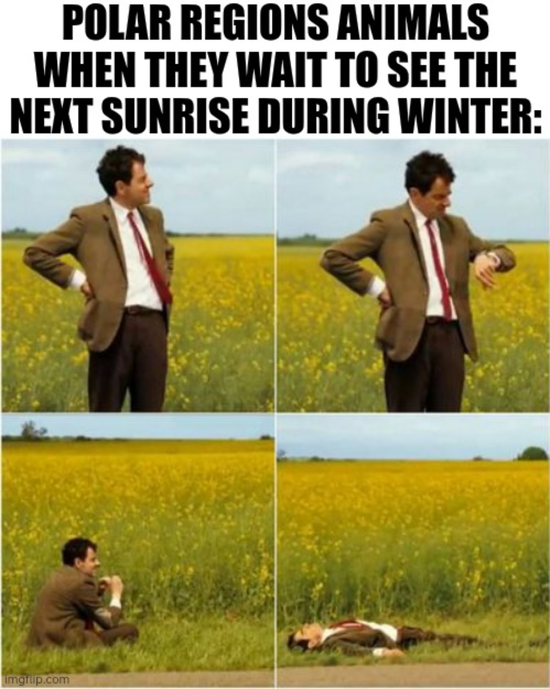 Polar Day-Night Cycles: The Ultimate Waiting Game