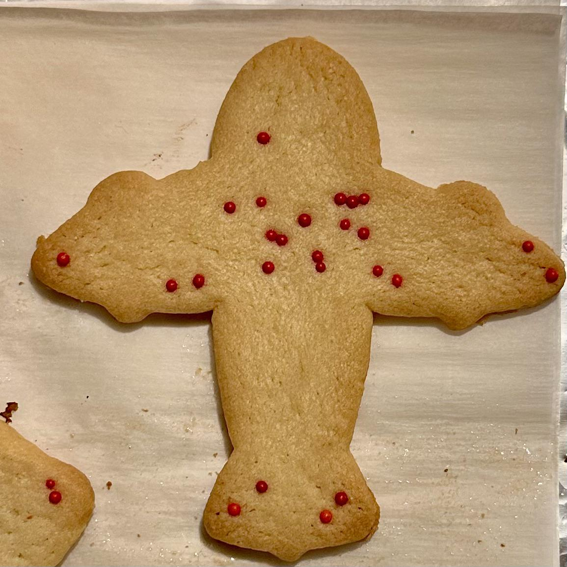 Baking The Cosmos: Cygnus Constellation Cookie Edition