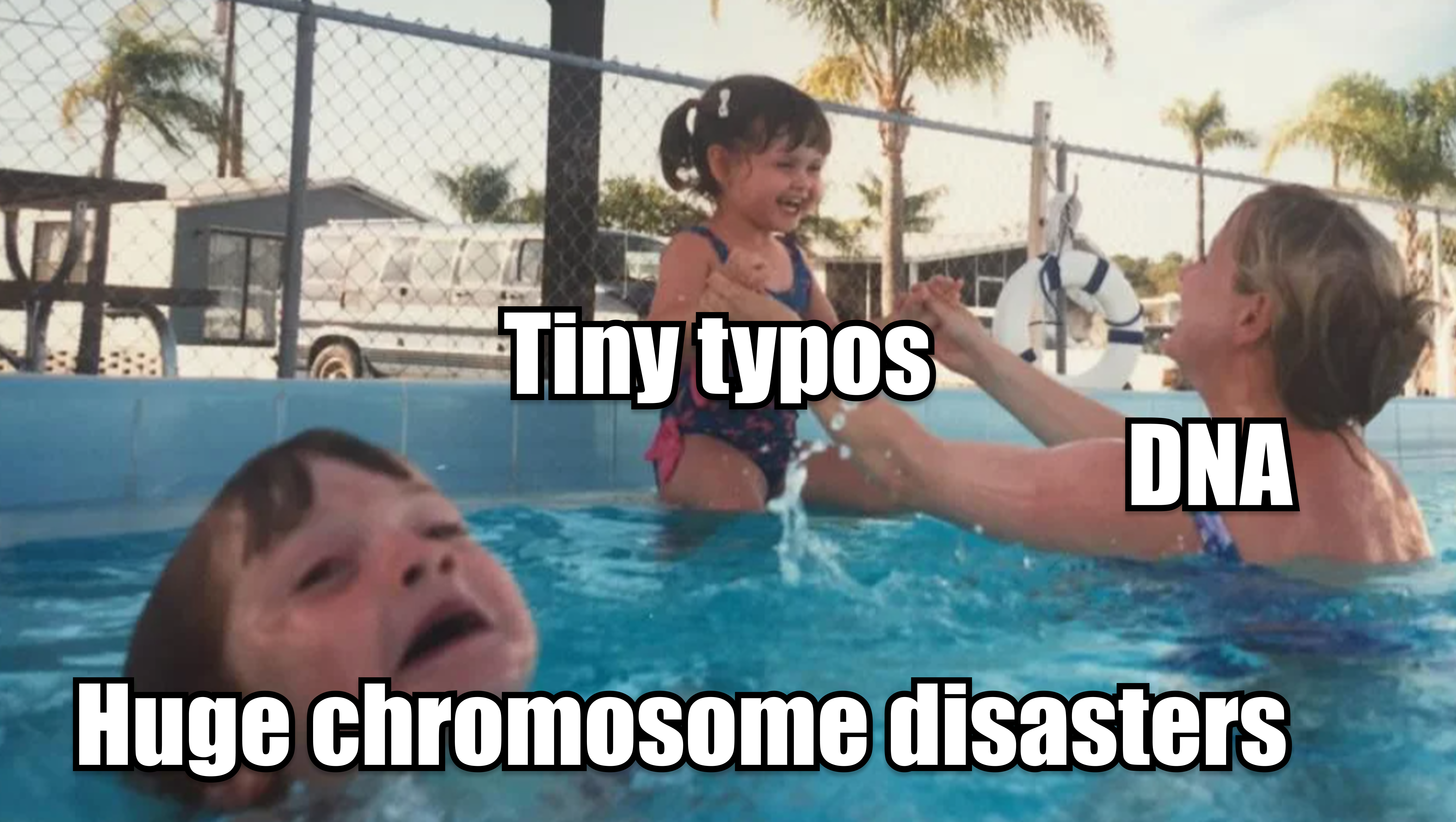 Dna Fixes Tiny Typos Instantly… But Sometimes Ignores Huge Chromosome Disasters
