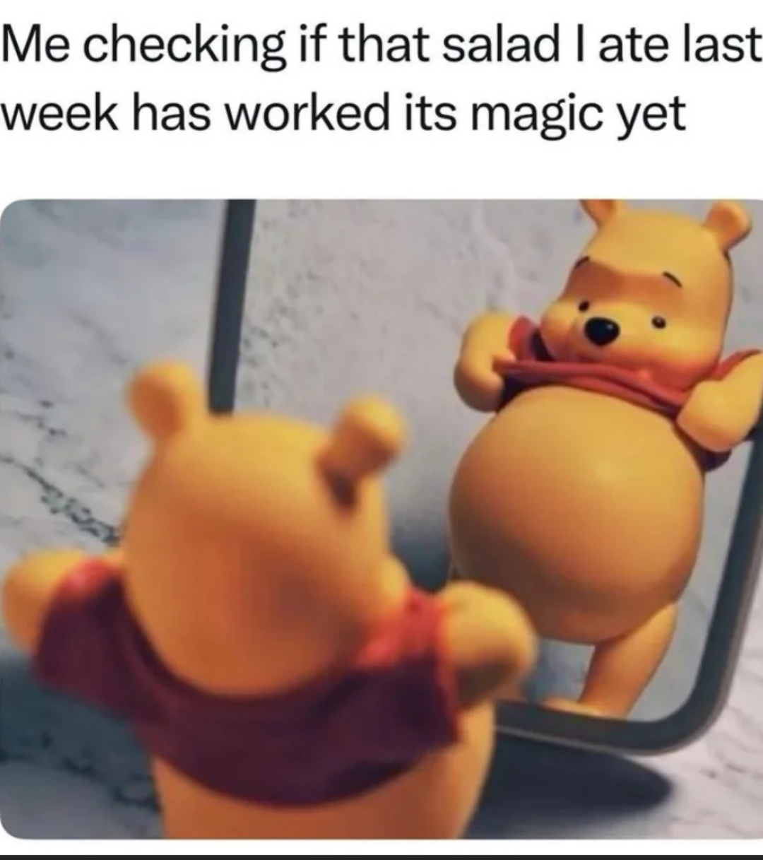 Engineer's Dieting Protocol