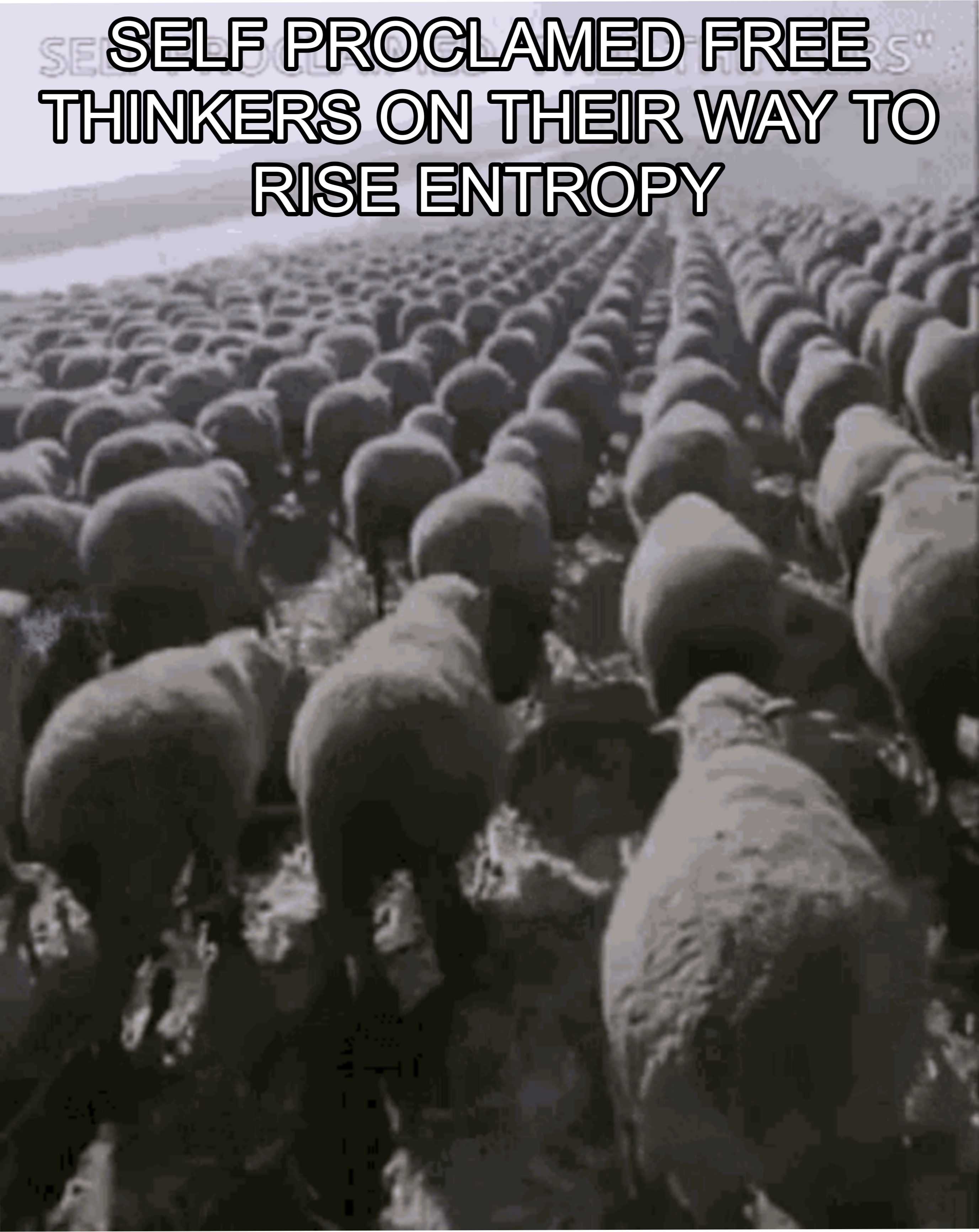 The Thermodynamic Irony Of Free Thinking