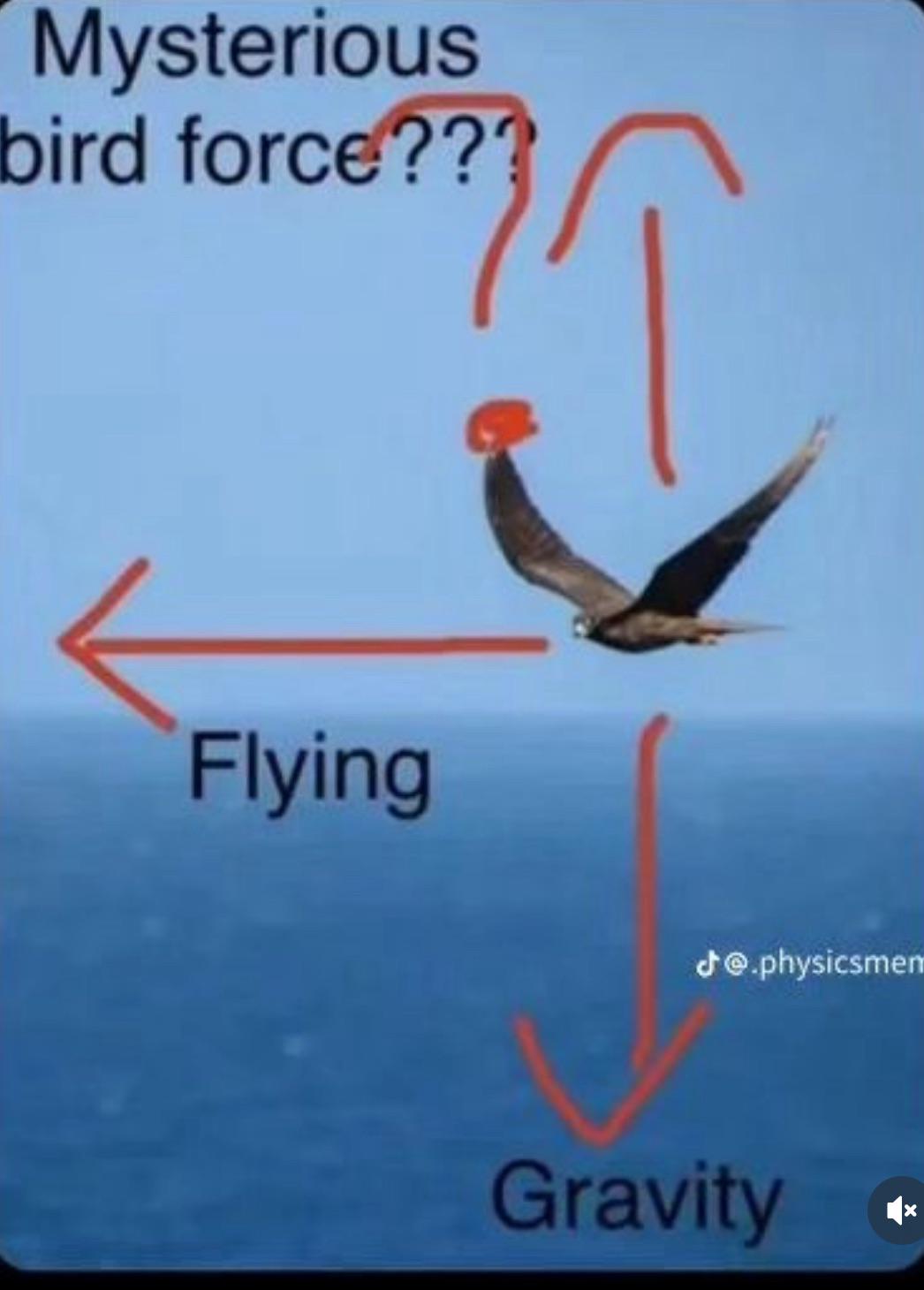 The Mysterious Third Force