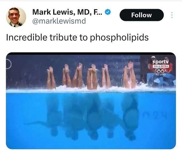 Synchronized Swimmers: The Human Phospholipid Bilayer
