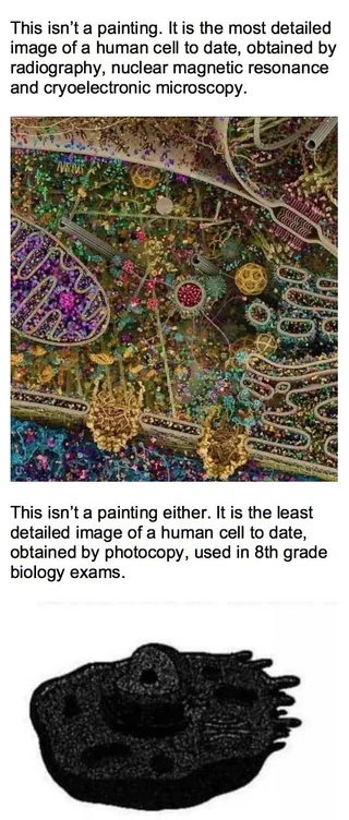 Mitochondria Is The Powerhouse Of The Cell