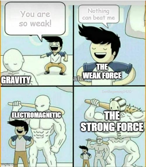 The Muscle Hierarchy Of Fundamental Forces