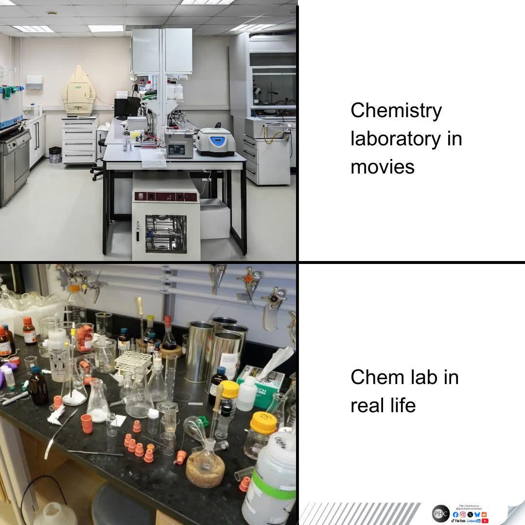 The Lab Catfishing Experience