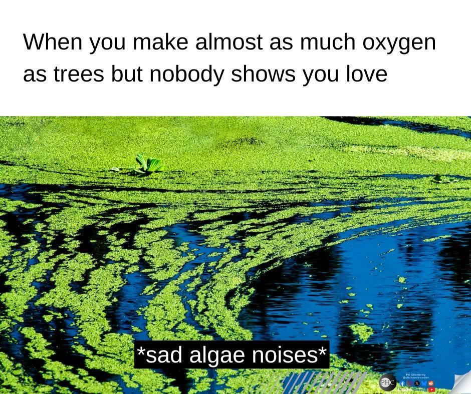 Carrying The Entire Biosphere On My Back And I Don't Even Get A Hug