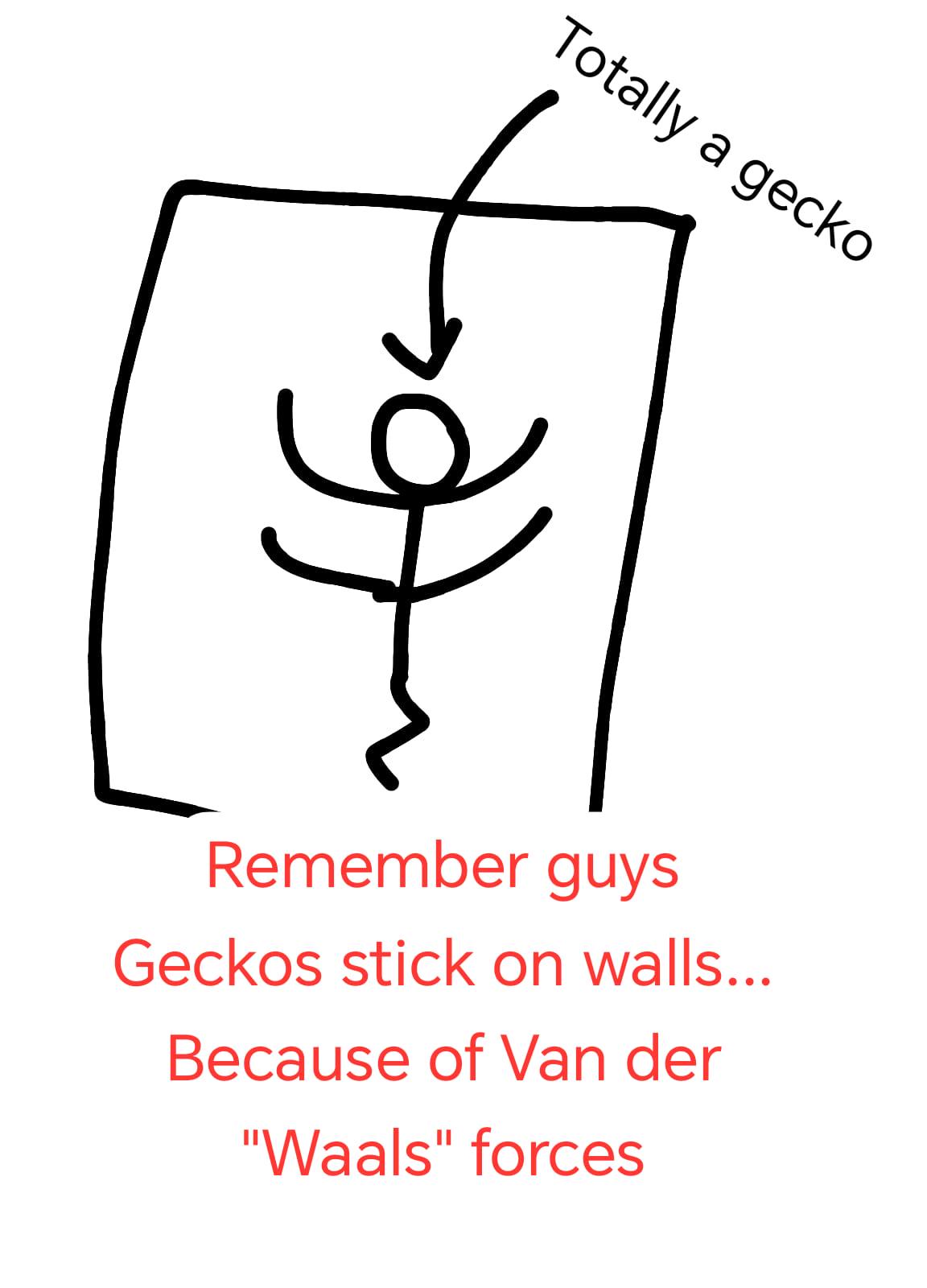 Gecko Physics: The Stickiest Mnemonic Device