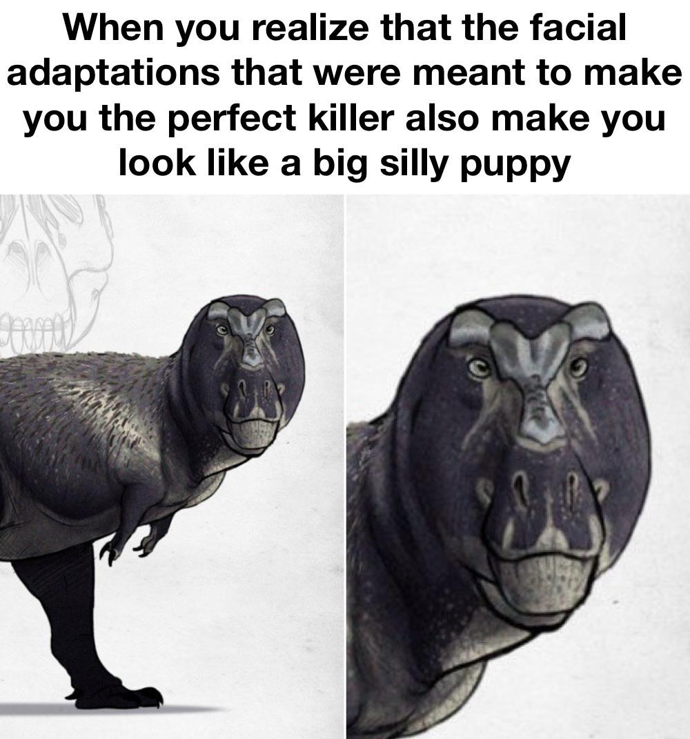 The Apex Predator's Adorable Identity Crisis