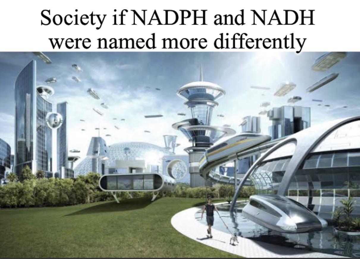 If Only Biologists Were More Original