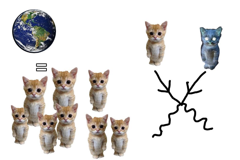 Schrödinger's Quantum Catastrophe