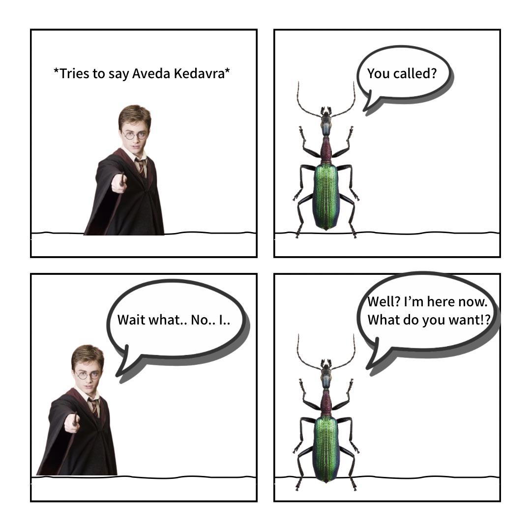 When Taxonomy Meets Wizardry