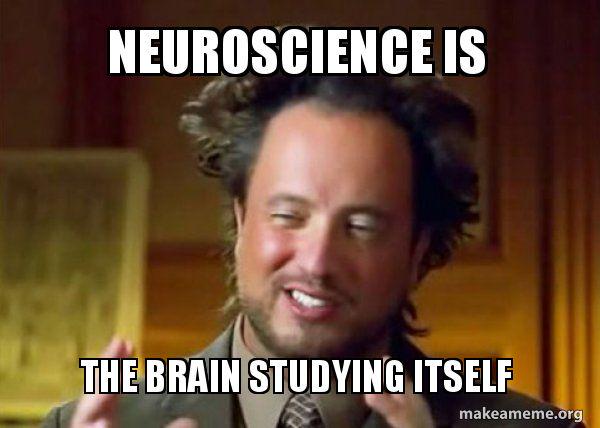 What Is Neuroscience Again?