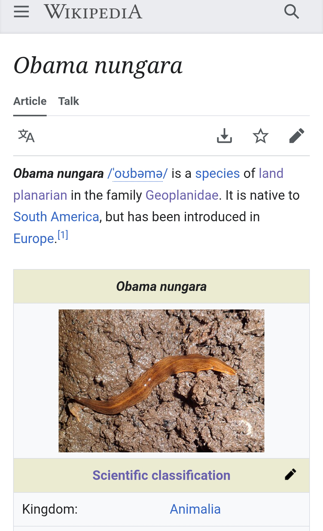 The Presidential Flatworm Mystery