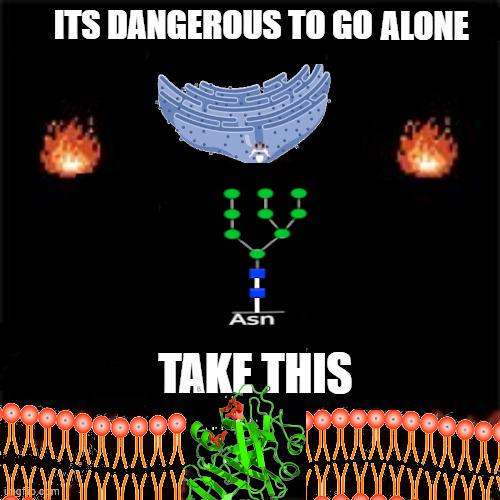 Take Your ID With You Before Going Out Of The House