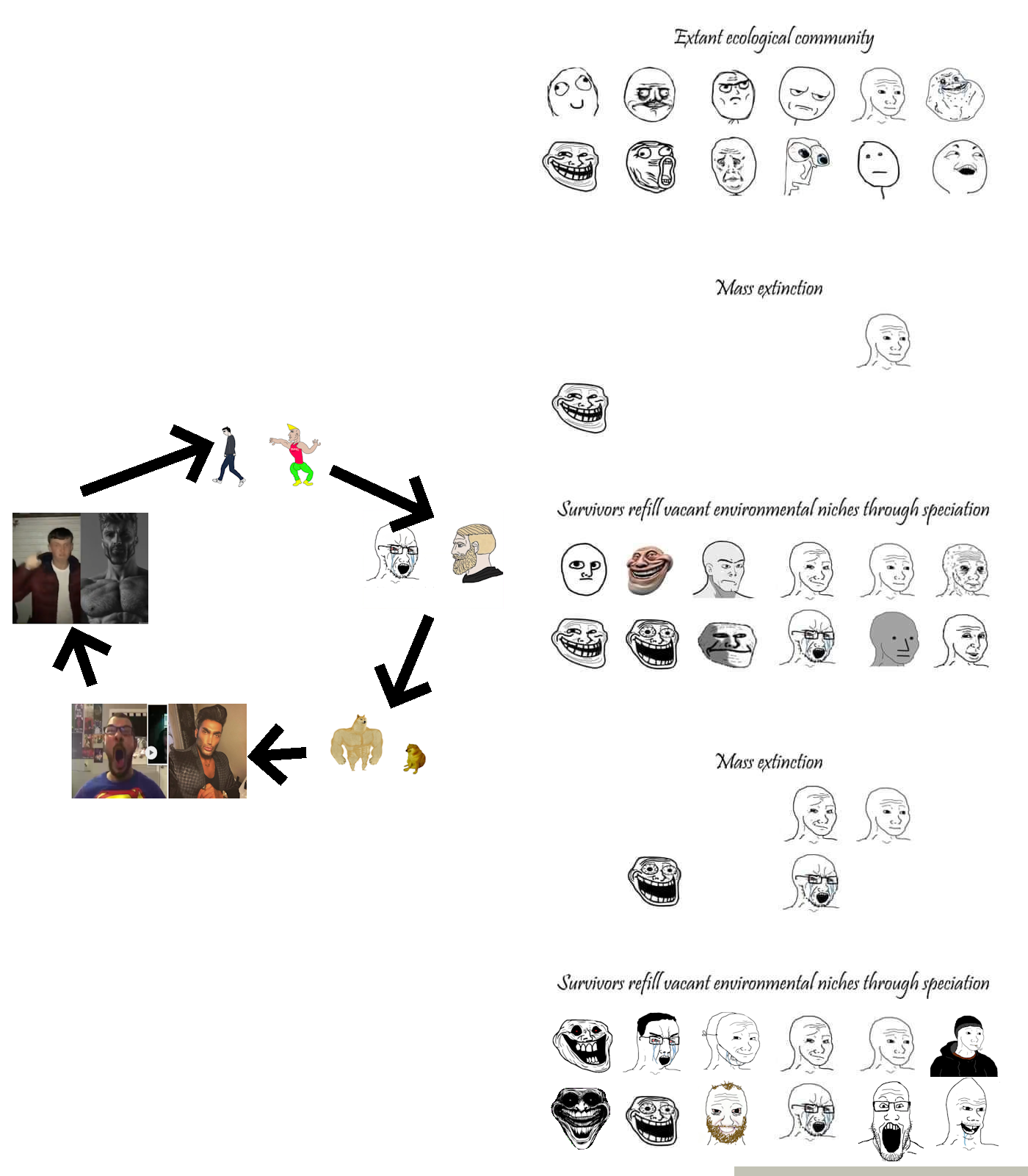 The Natural Selection Of Internet Memes