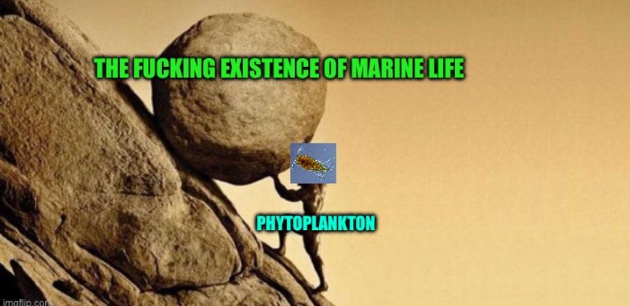 The Microscopic Atlas Of The Sea