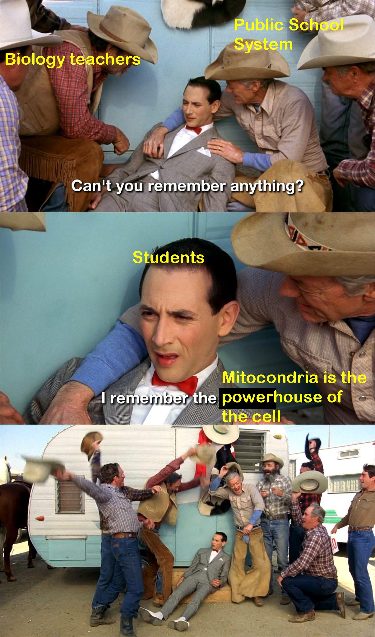 Don't Try What You're About To See At Home