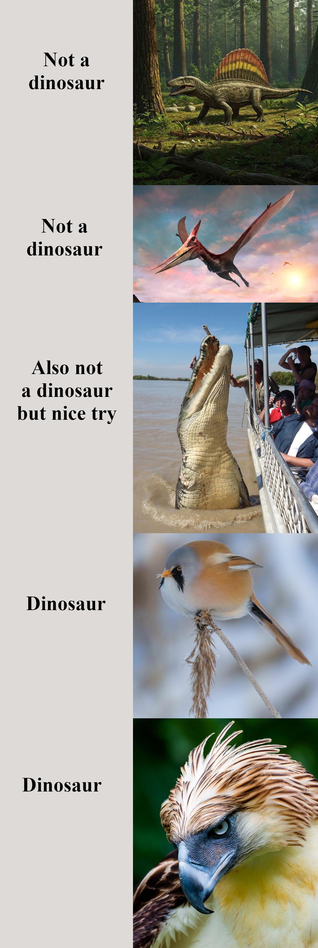 The Dinosaur Identity Crisis