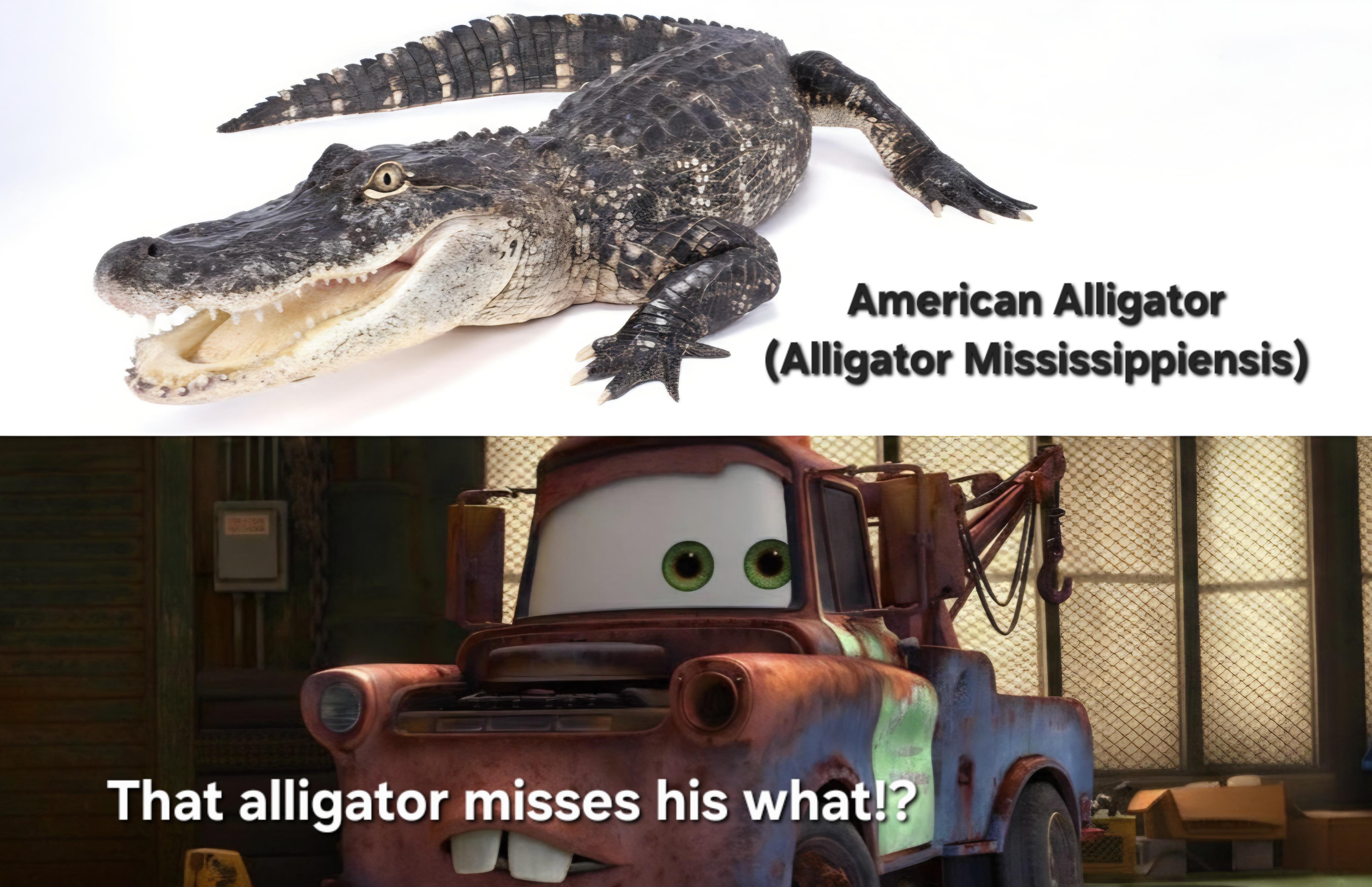 Mater May Have Misheard Something