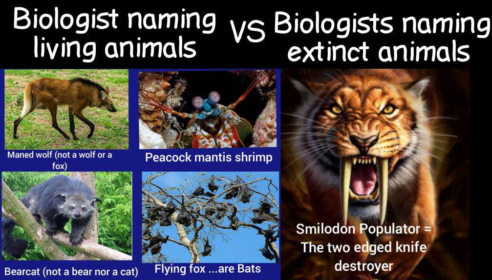 The Taxonomy Identity Crisis