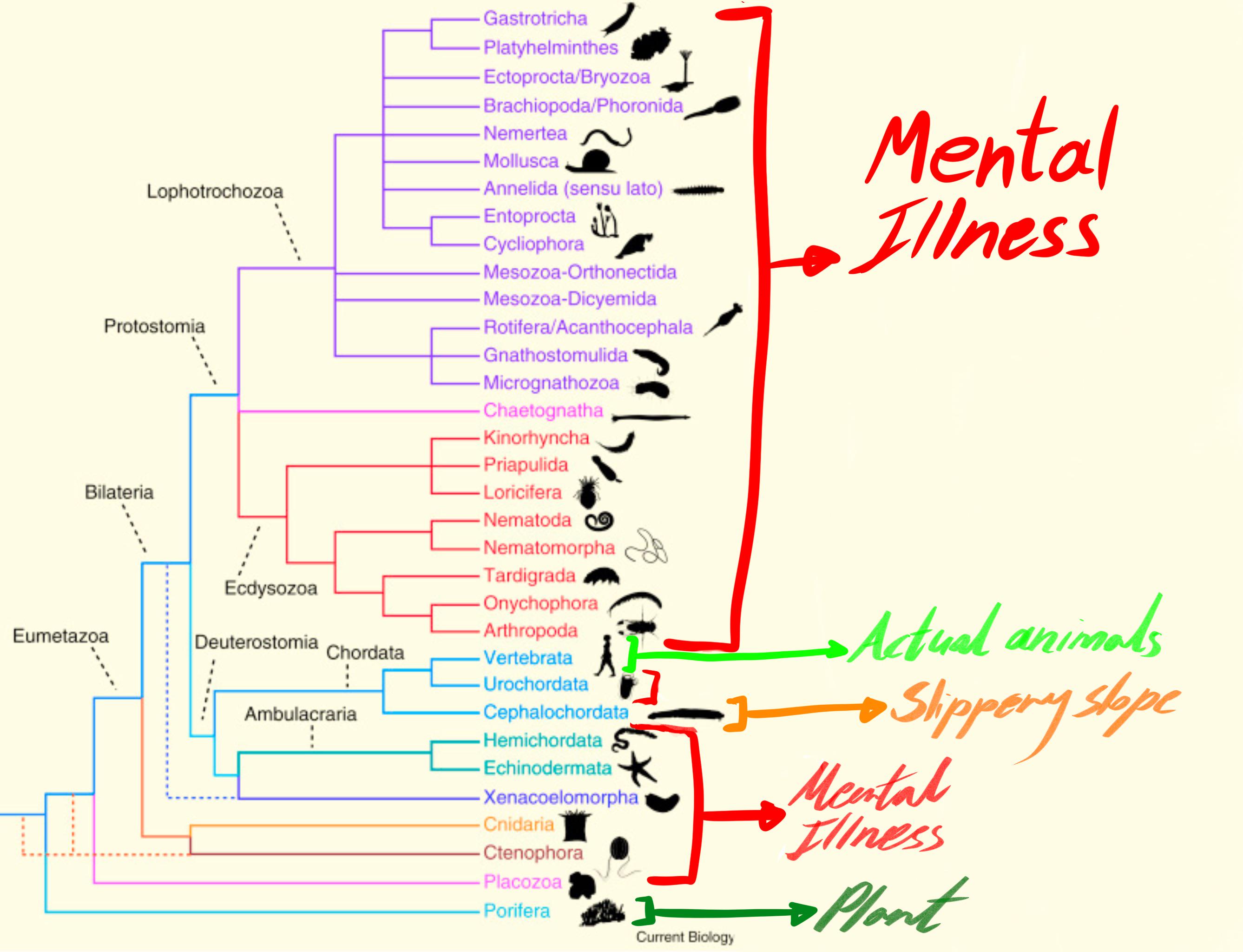 The Animal Kingdom According To The Average Person
