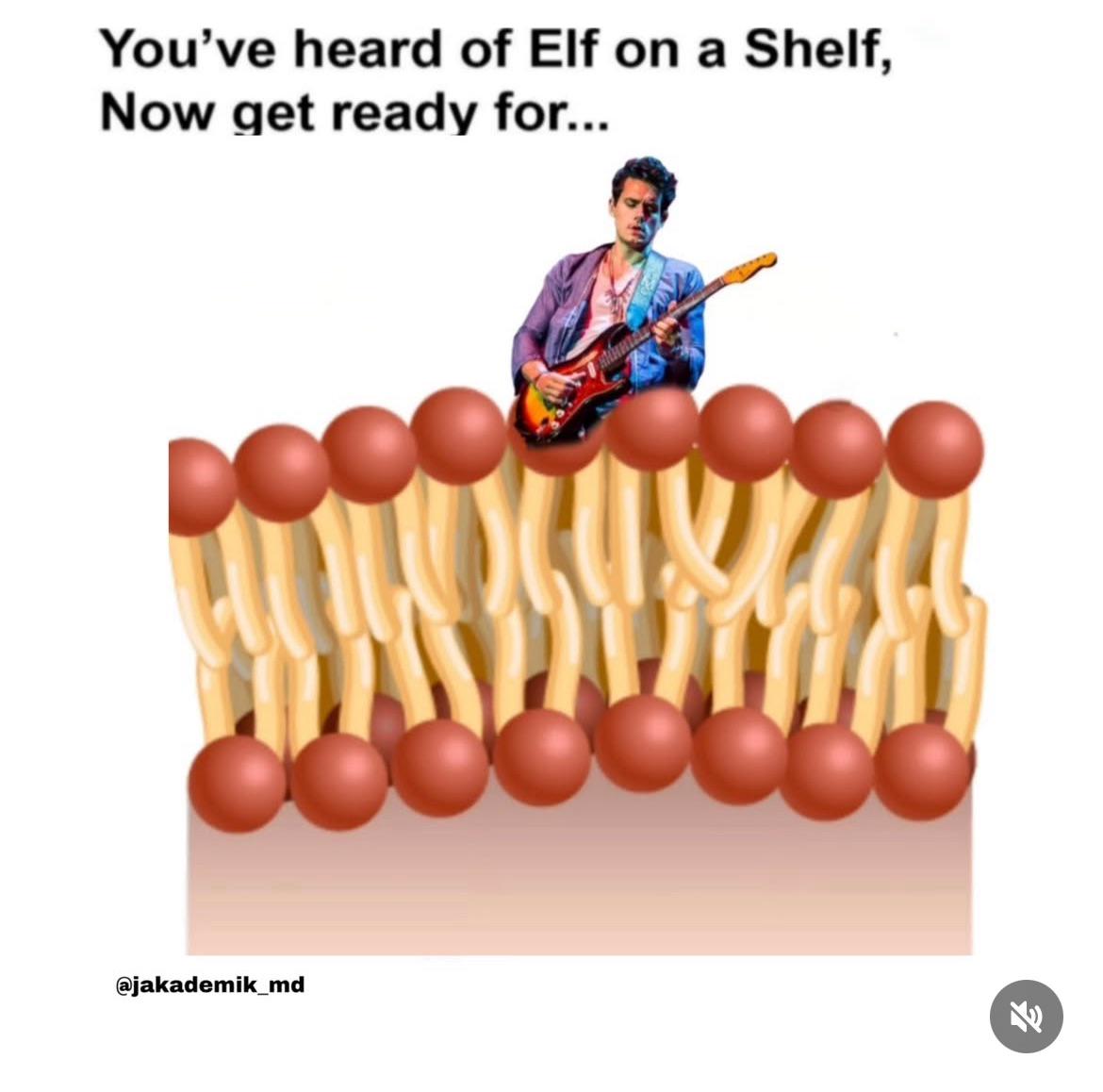 John On A Phospholipid Layer