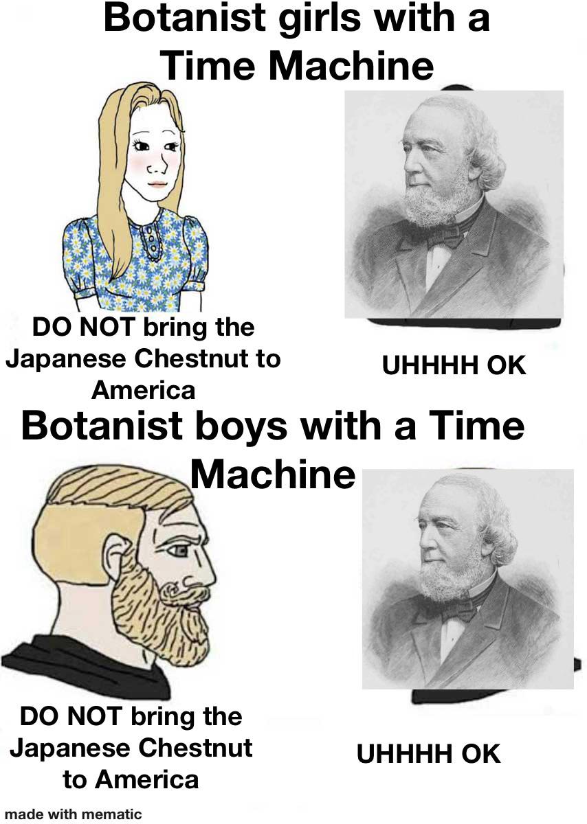 Time Traveling Botanists And The Chestnut Catastrophe