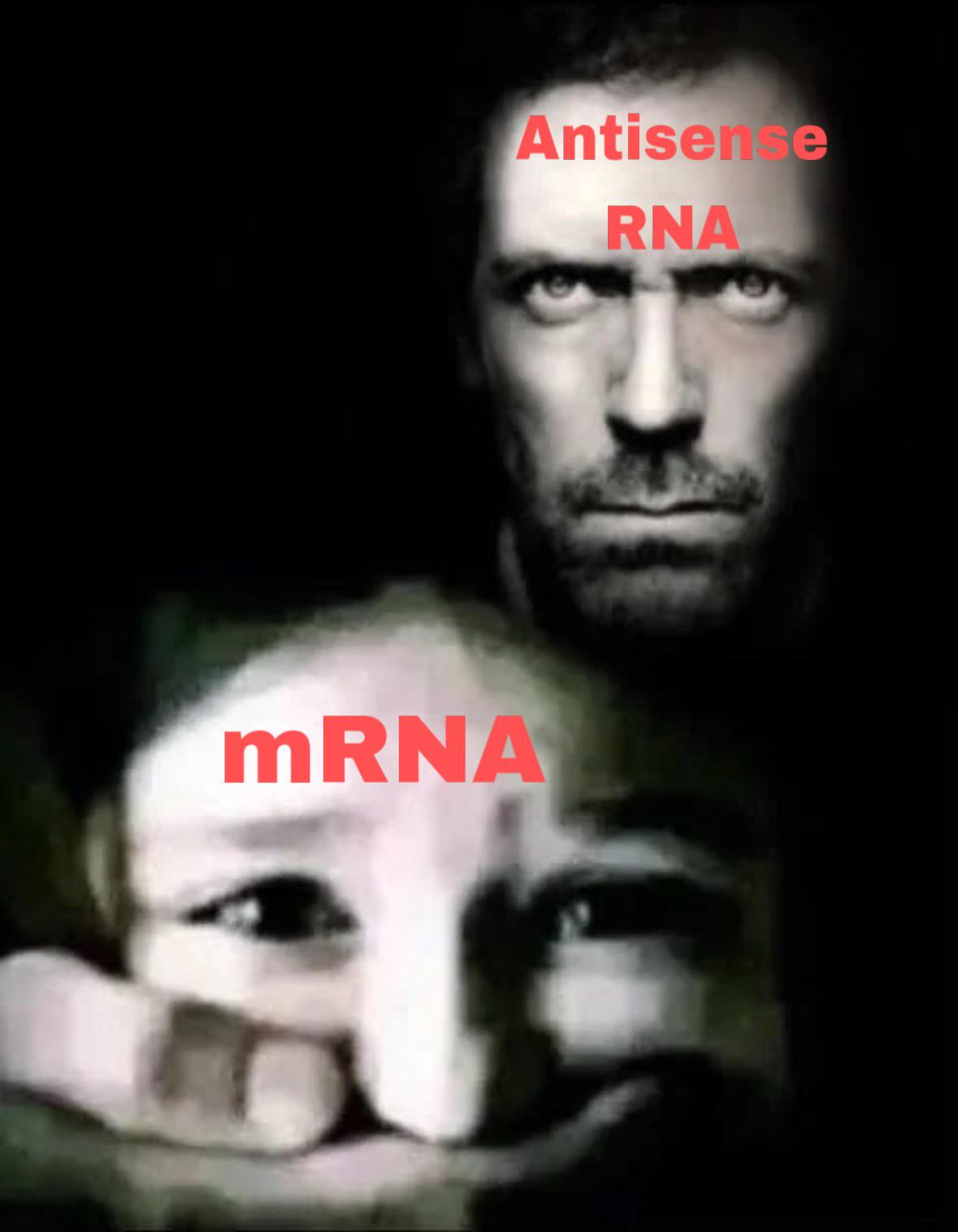 Post-Transcriptional Regulation: The Genetic Shutdown