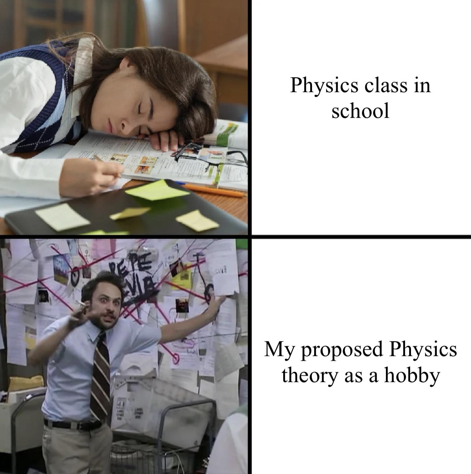 The Physics Duality Principle