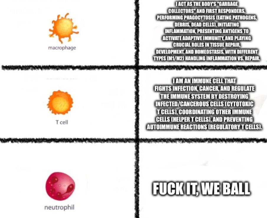 Immune Cell Job Descriptions