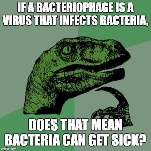 Bacteria Can Get Sick?