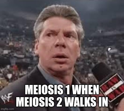 Meiosis: The Unexpected Sequel
