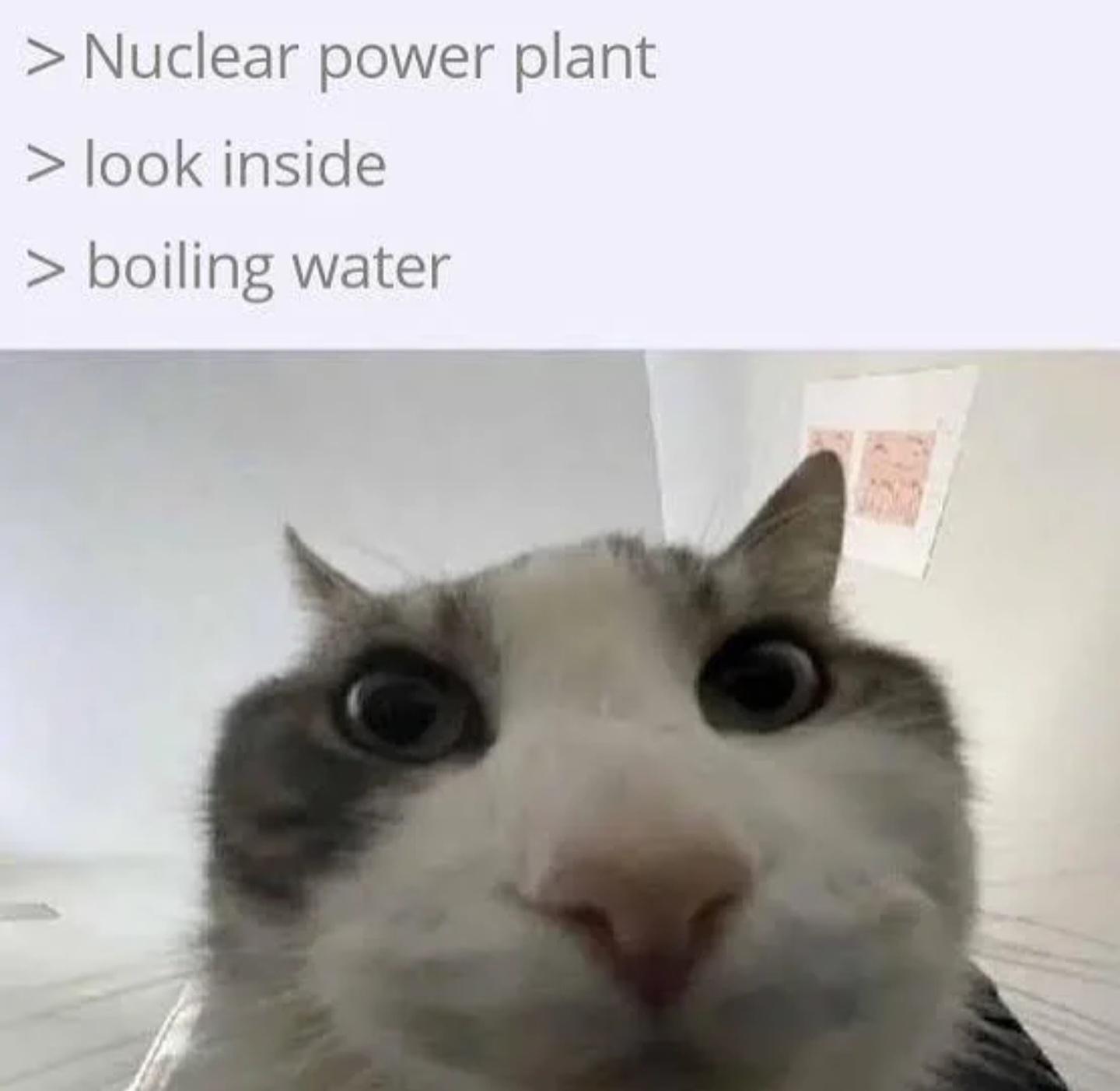 Nuclear Engineering's Dirty Little Secret