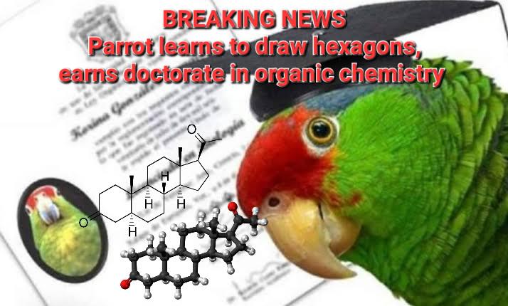 Breaking News: Parrot Outperforms PhD Students