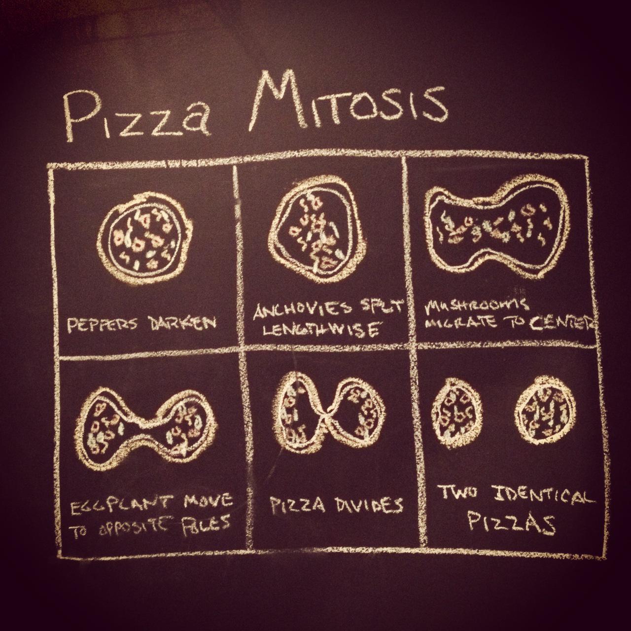 Pizza Mitosis